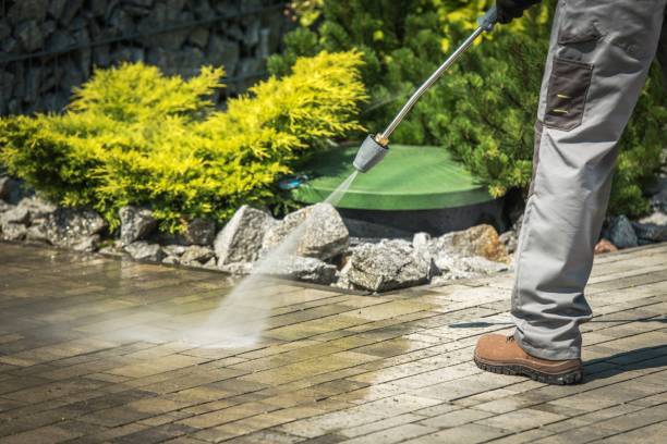Best Solar Panel Cleaning  in Roselle, NJ